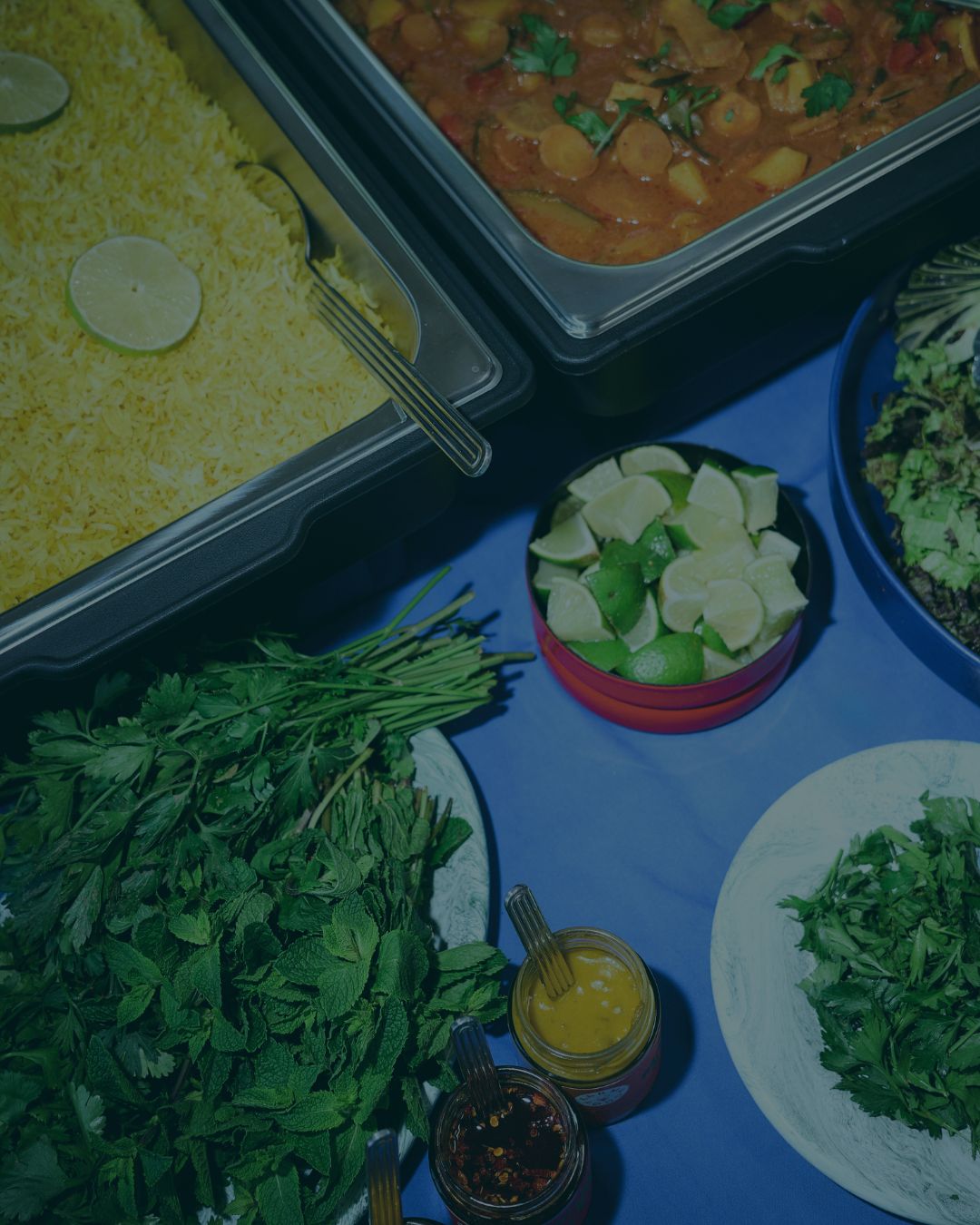 Karma Food Catering in Wien, vegan & vegetarische für Events, Büro 