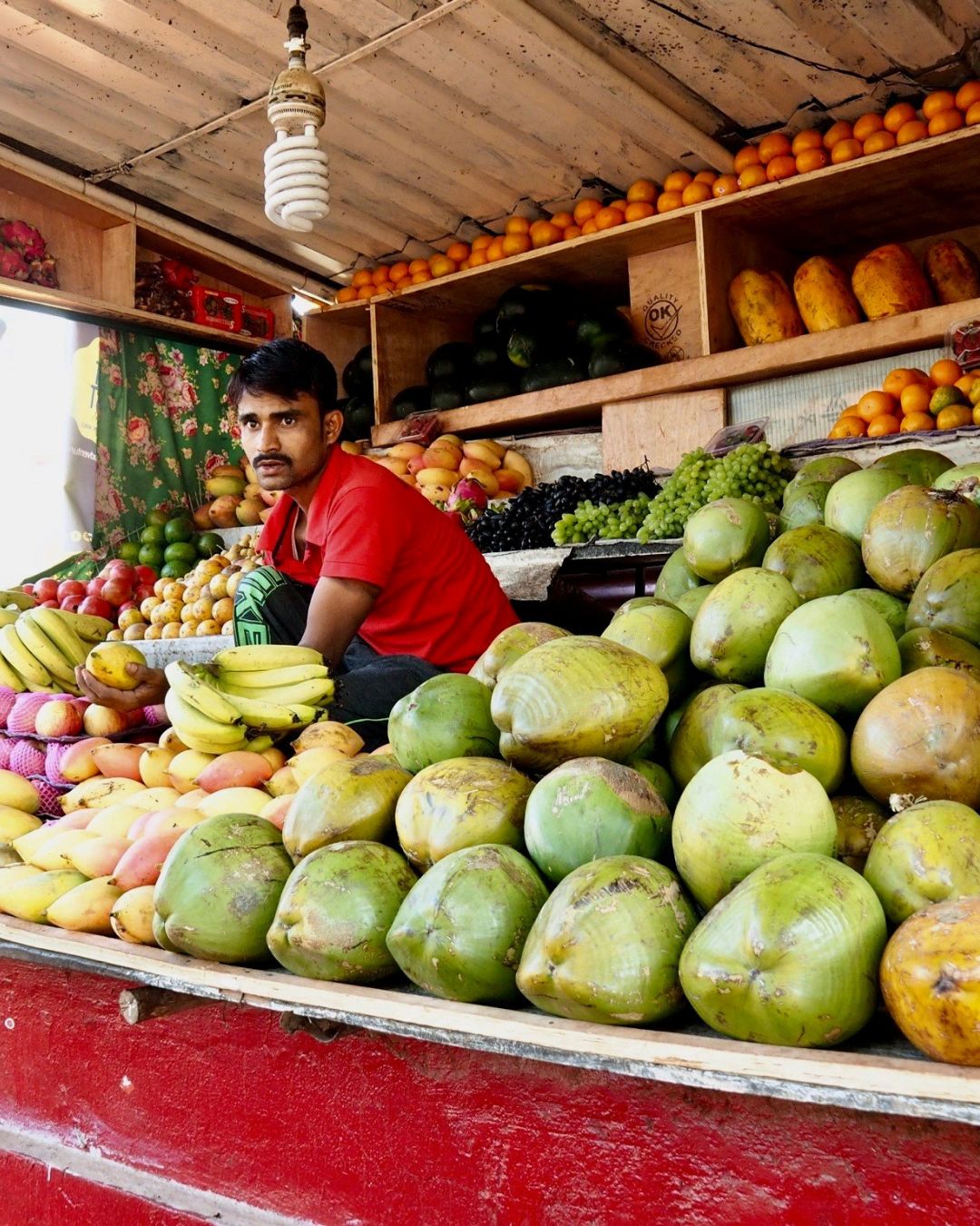 frischer-obststand-in-indien-mit-kokosnüssen-und-mango