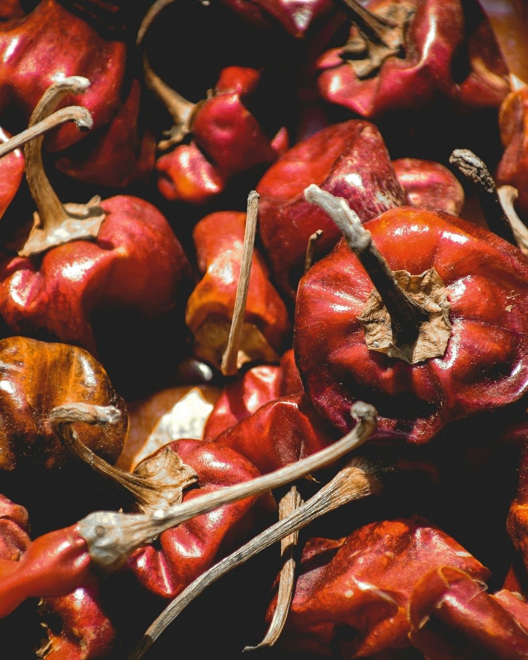 Getrocknete Kashmiri-Chilis – Basiszutat für den würzigen Kashmiri Chili Crisp mit intensiver Farbe und Aroma